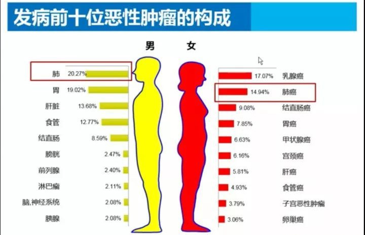 癌癥患者比例